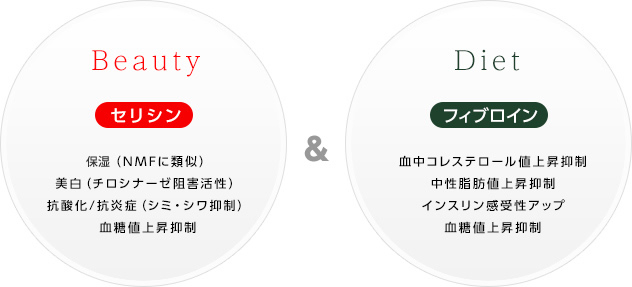 機能イメージ