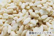 白麹菌