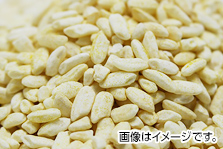 黄麹菌